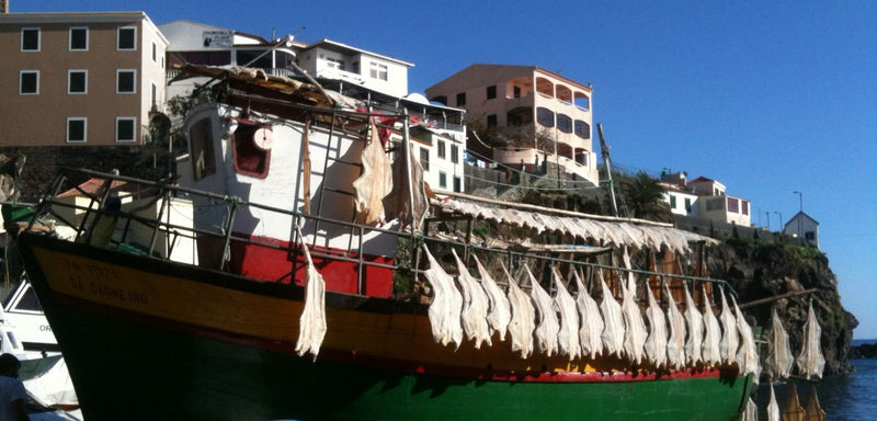 Bacalhau - Stockfisch - sardinishop.com