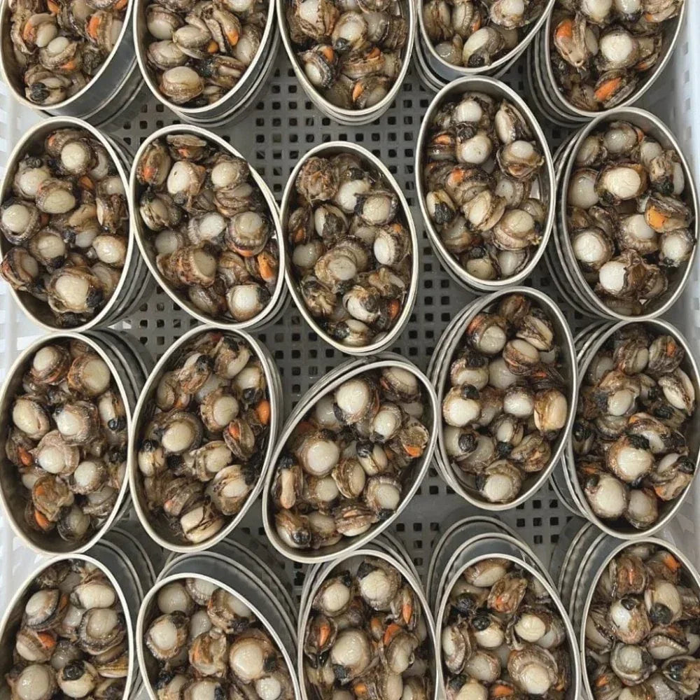 Kammmuscheln in Sauce-Vieira