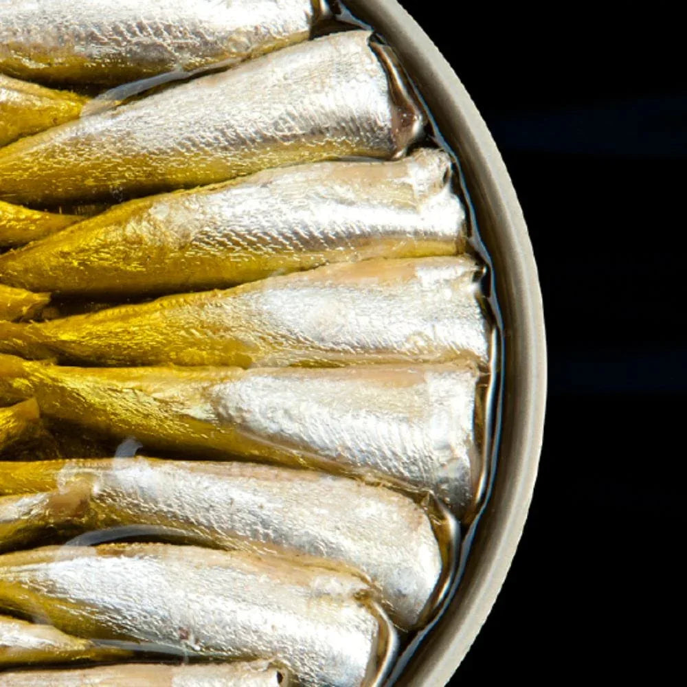 Sardinillas en Aceite de Oliva (Kleine Sardinen aus Galizien)